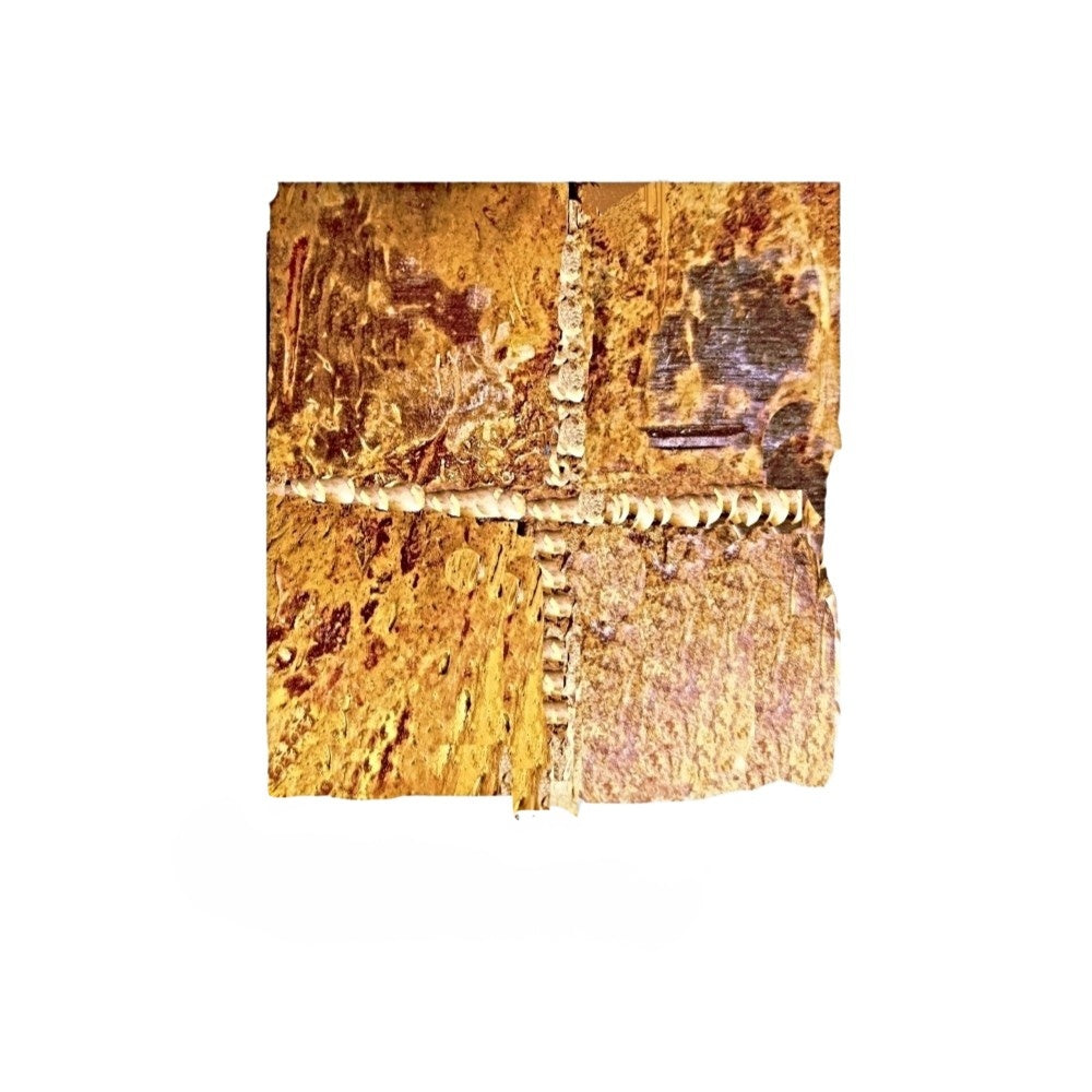 One of a Kind Coconut Shell Earrings